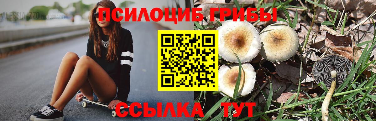 Феодосия  Галлюциногенные грибы MAGIC MUSHROOMS  Вход с VPN  Галлюциногенные грибы Psilocybe 